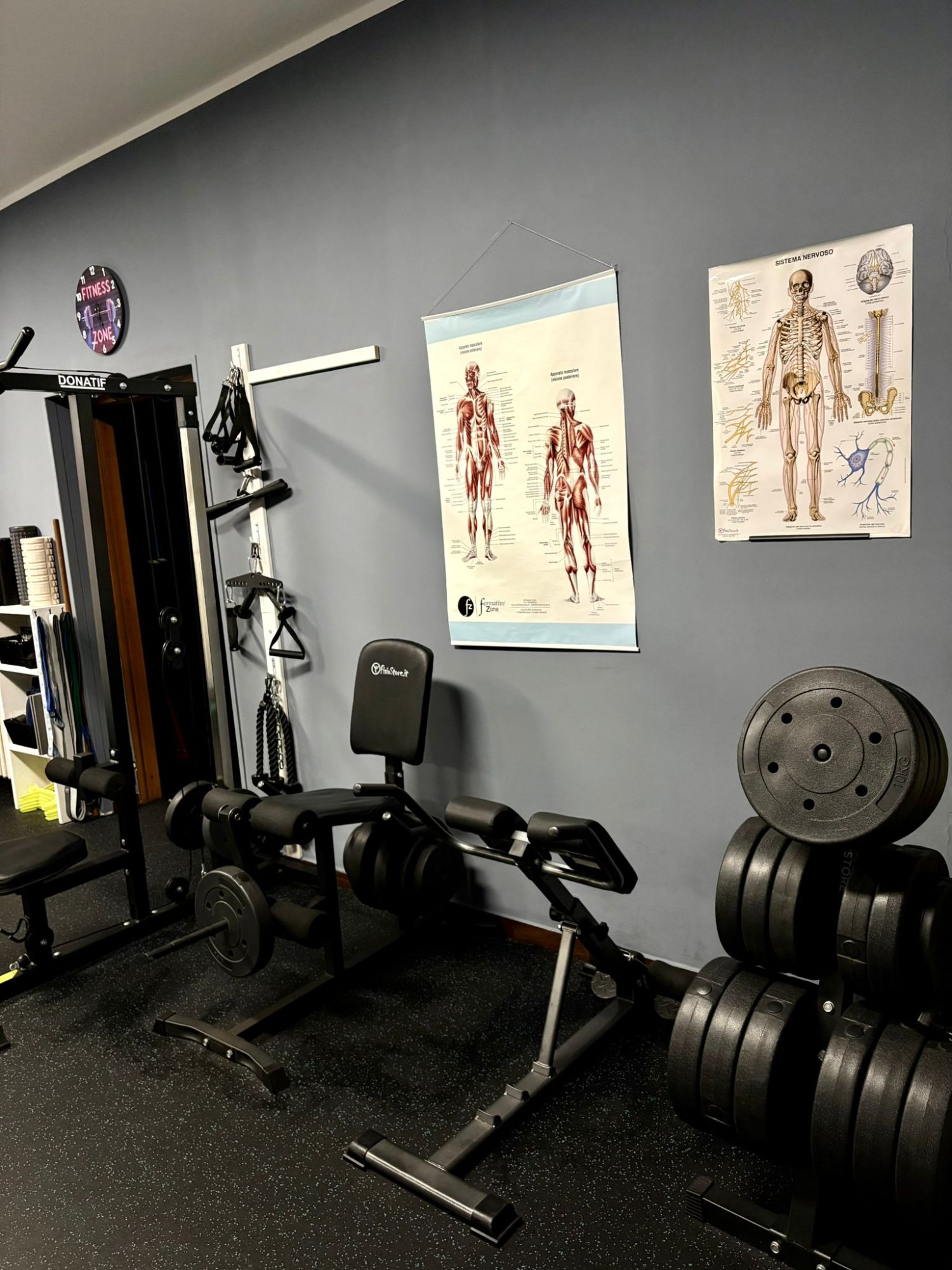 Sala pesi con poster anatomici